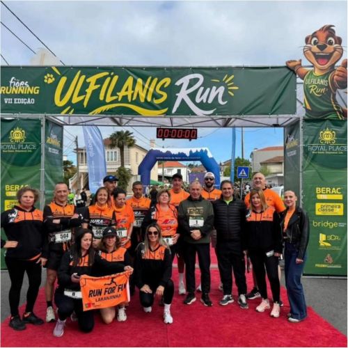 Ulfilanis run